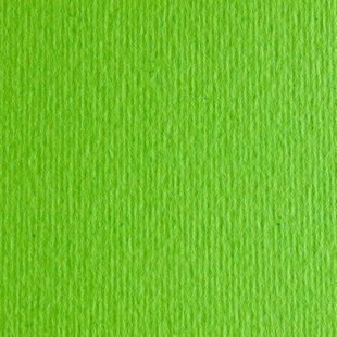 Папір для дизайну Elle Erre А4 (21*29,7см), №10 verde pisell, 220г/м2, дві текстури, FABRIANO 00000005427 фото