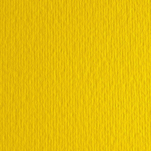 Папір для дизайну Elle Erre B2 (50*70см), №07 giallo, 220г/м2, дві текстури, FABRIANO 00000005368 фото
