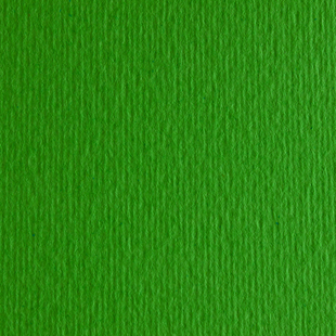 Папір для дизайну Elle Erre B2 (50*70см), №11 verde, 220г/м2, дві текстури, FABRIANO 00000005372 фото