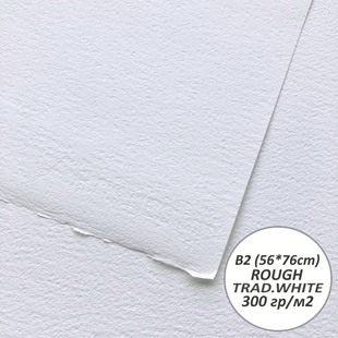Папір акварельний Artistico Rough, TRADITIONAL WHITE, 56*76см, 300г/м2, FABRIANO 8001348209102 фото