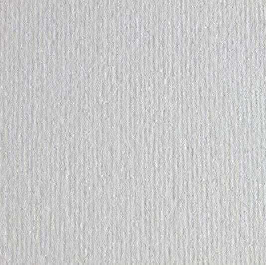 Папір для дизайну Elle Erre B1 (70*100см), №00 bianco, 220г/м2, білий, дві текстури, FABRIANO 8001348104636 фото