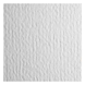 Папір для акрилу Pittura B2 (50*70cм), 400г/м2, середнє зерно, FABRIANO 8001348118619 фото 2